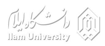 ۳. دانشگاه ایلام